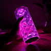 16 Colors Diamond Rose Crystal Rechargeable  Lamp